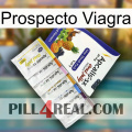 Prospecto Viagra 11